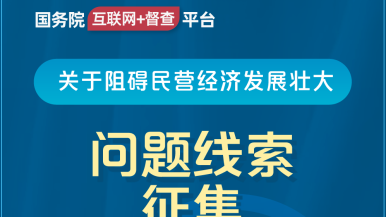 大鸡吧操操国务院“互联网+督查”平台公开征集阻碍民营经济发展壮大问题线索